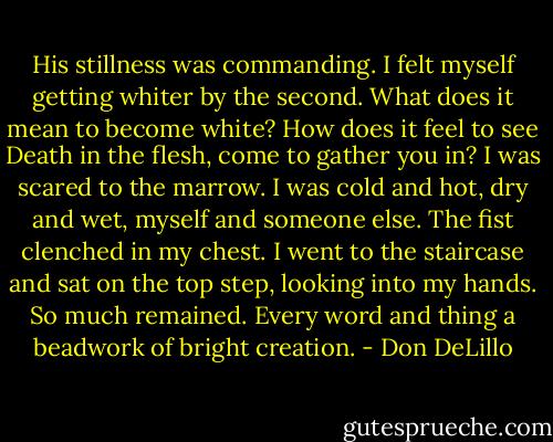 His stillness was commanding. I felt myself getting whiter by the second. What does it mean to become white? How does it feel to see Death in the flesh, come to gather you in? I was scared to the marrow. I was cold and hot, dry and wet, myself and someone else. The fist clenched in my chest. I went to the staircase and sat on the top step, looking into my hands. So much remained. Every word and thing a beadwork of bright creation. - Don DeLillo