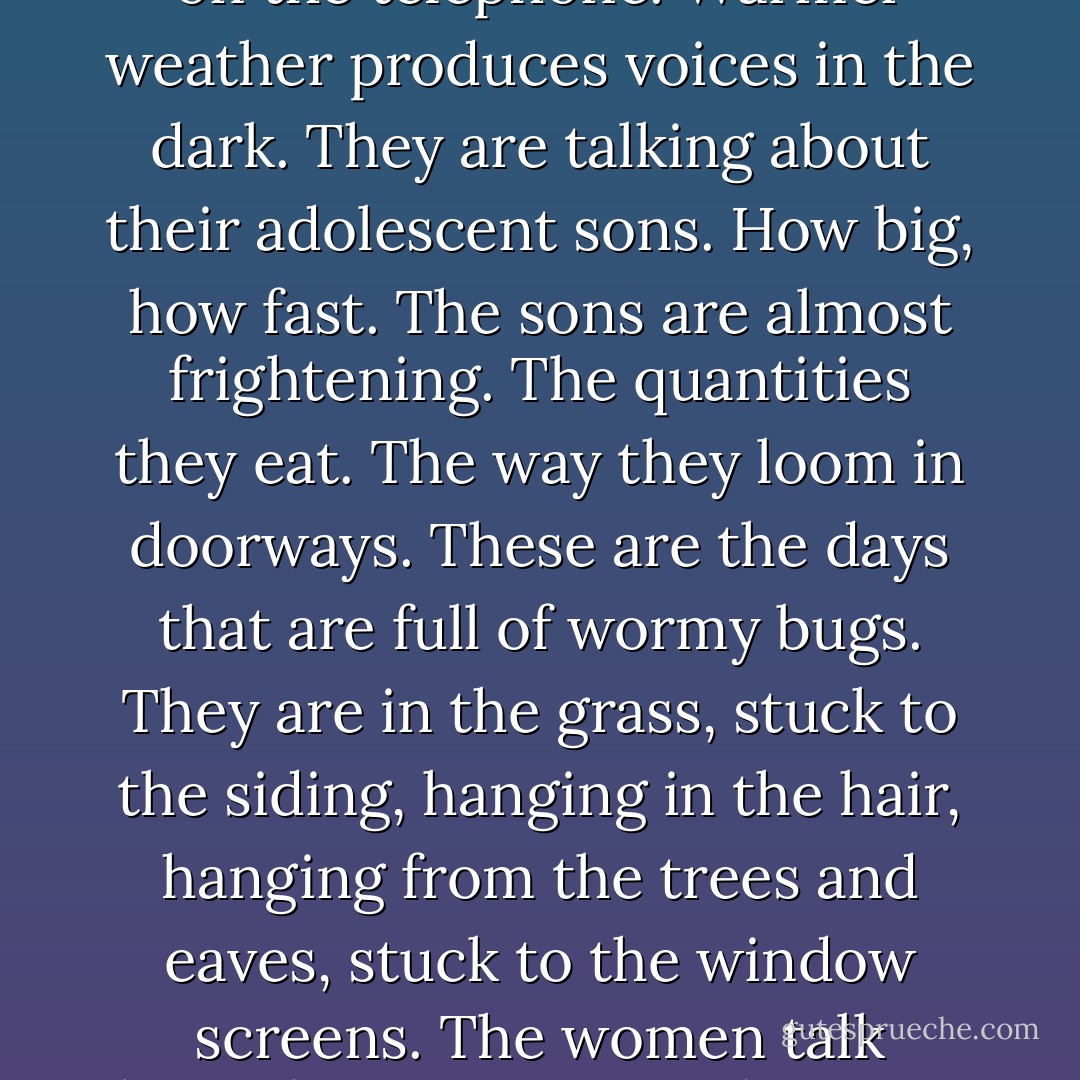 The time of dangling insects arrived. White houses with caterpillars dangling from the eaves. White stones in driveways. You can walk at night down the middle of the street and hear women talking on the telephone. Warmer weather produces voices in the dark. They are talking about their adolescent sons. How big, how fast. The sons are almost frightening. The quantities they eat. The way they loom in doorways. These are the days that are full of wormy bugs. They are in the grass, stuck to the siding, hanging in the hair, hanging from the trees and eaves, stuck to the window screens. The women talk long-distance to grandparents of growing boys. They share the Trimline phone, beamish old folks in hand-knit sweaters on fixed incomes. <br /><br />What happens to them when the commercial ends? - Don DeLillo