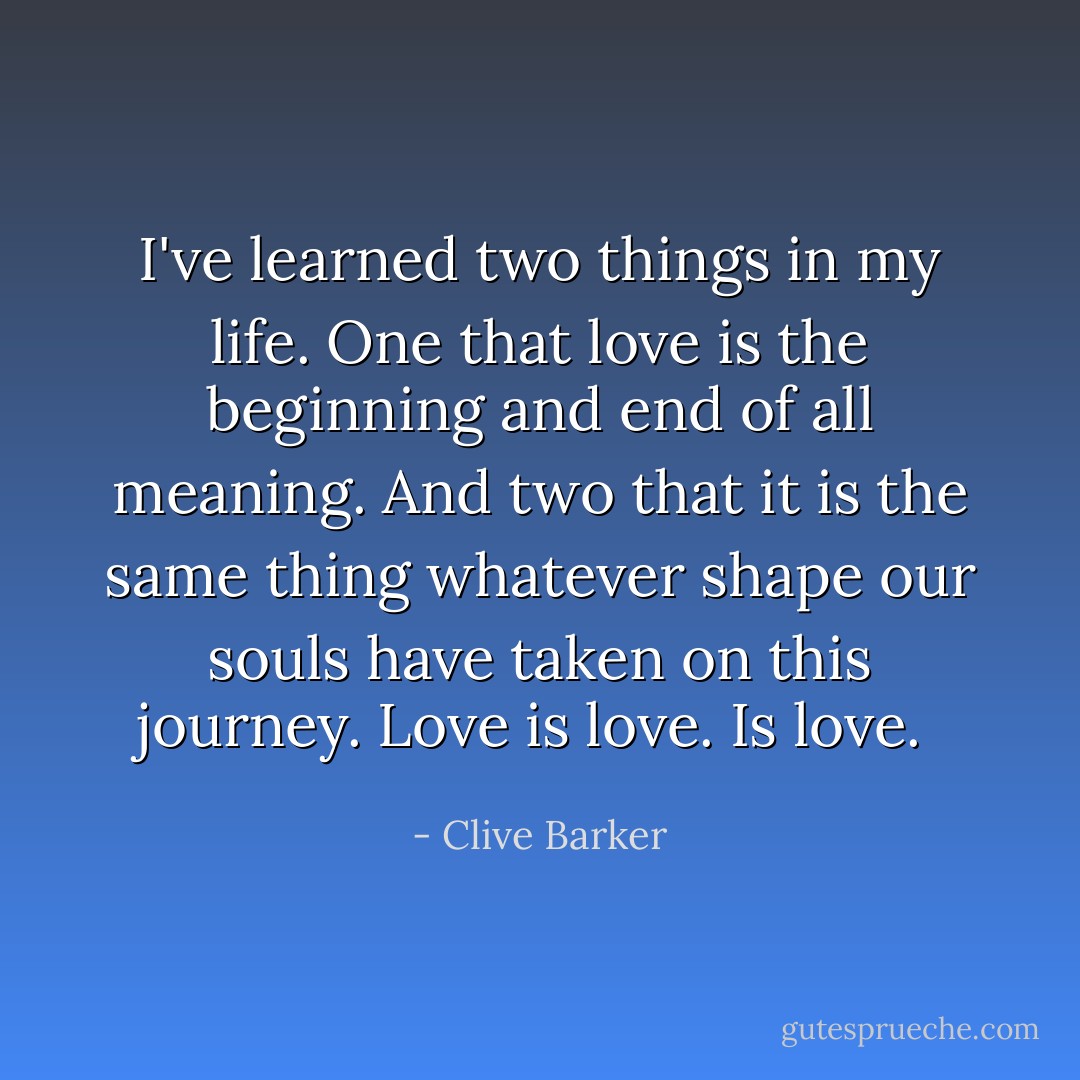 I've learned two things in my life. One that love is the beginning and end of all meaning. And two that it is the same thing whatever shape our souls have taken on this journey. Love is love. Is love.  - Clive Barker