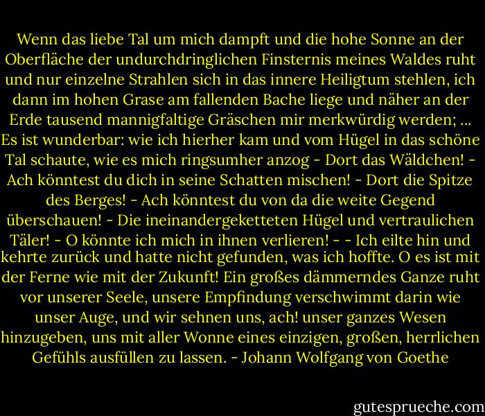 Wenn das liebe Tal um mich dampft und die hohe Sonne an der Oberfläche der undurchdringlichen Finsternis meines Waldes ruht und nur einzelne Strahlen sich in das innere Heiligtum stehlen, ich dann im hohen Grase am fallenden Bache liege und näher an der Erde tausend mannigfaltige Gräschen mir merkwürdig werden;<br />...<br />Es ist wunderbar: wie ich hierher kam und vom Hügel in das schöne Tal schaute, wie es mich ringsumher anzog - Dort das Wäldchen! - Ach könntest du dich in seine Schatten mischen! - Dort die Spitze des Berges! - Ach könntest du von da die weite Gegend überschauen! - Die ineinandergeketteten Hügel und vertraulichen Täler! - O könnte ich mich in ihnen verlieren! - - Ich eilte hin und kehrte zurück und hatte nicht gefunden, was ich hoffte. O es ist mit der Ferne wie mit der Zukunft! Ein großes dämmerndes Ganze ruht vor unserer Seele, unsere Empfindung verschwimmt darin wie unser Auge, und wir sehnen uns, ach! unser ganzes Wesen hinzugeben, uns mit aller Wonne eines einzigen, großen, herrlichen Gefühls ausfüllen zu lassen. - Johann Wolfgang von Goethe