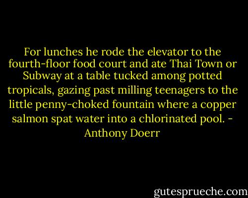 For lunches he rode the elevator to the fourth-floor food court and ate Thai Town or Subway at a table tucked among potted tropicals, gazing past milling teenagers to the little penny-choked fountain where a copper salmon spat water into a chlorinated pool. - Anthony Doerr