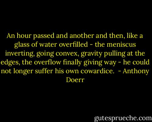 An hour passed and another and then, like a glass of water overfilled - the meniscus inverting, going convex, gravity pulling at the edges, the overflow finally giving way - he could not longer suffer his own cowardice.  - Anthony Doerr