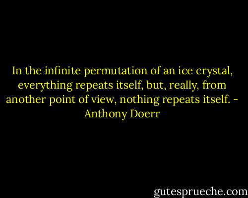 In the infinite permutation of an ice crystal, everything repeats itself, but, really, from another point of view, nothing repeats itself. - Anthony Doerr