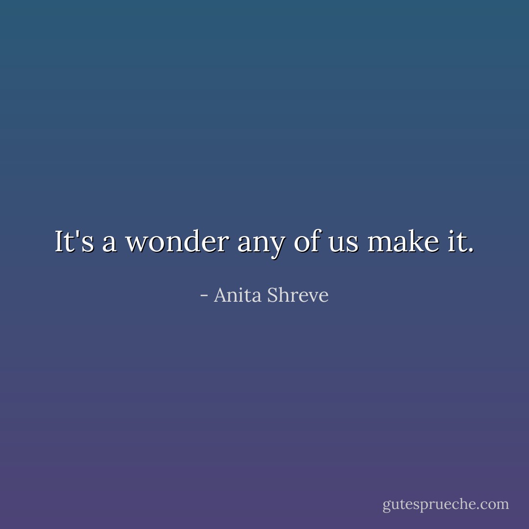It's a wonder any of us make it. - Anita Shreve