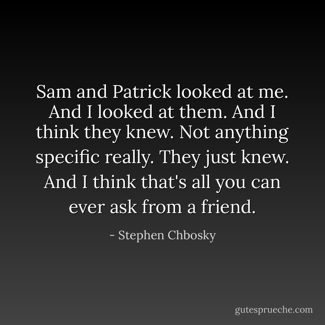 Sam and Patrick looked at me. And I looked at them. And I think they knew. Not anything specific really. They just knew. And I think that's all you can ever ask from a friend. - Stephen Chbosky