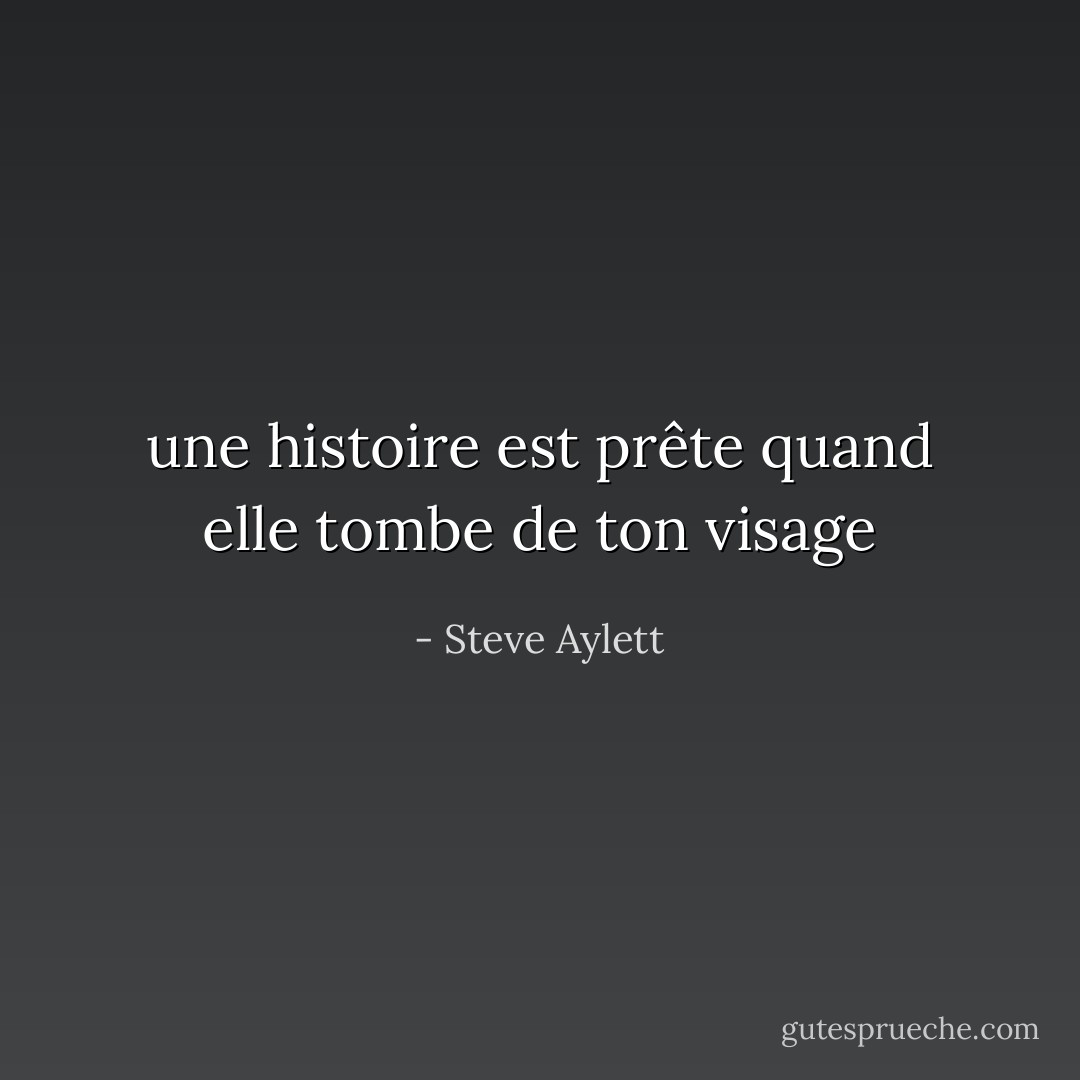 une histoire est prête quand elle tombe de ton visage - Steve Aylett