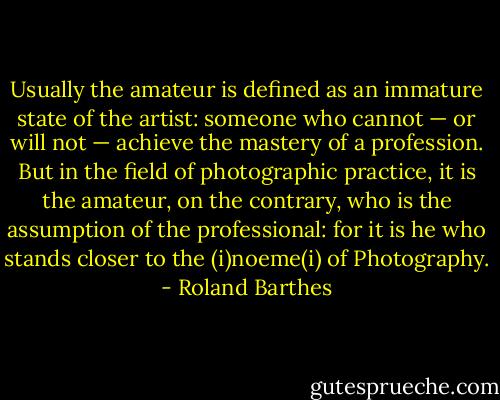 Usually the amateur is defined as an immature state of the artist: someone who cannot — or will not — achieve the mastery of a profession. But in the field of photographic practice, it is the amateur, on the contrary, who is the assumption of the professional: for it is he who stands closer to the (i)noeme(i) of Photography. - Roland Barthes