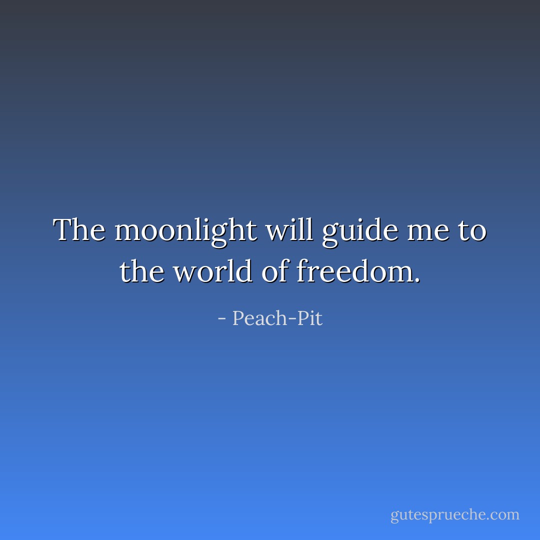The moonlight will guide me to the world of freedom. - Peach-Pit