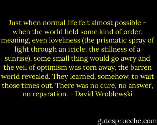 Just when normal life felt almost possible - when the world held some kind of order, meaning, even loveliness (the prismatic spray of light through an icicle; the stillness of a sunrise), some small thing would go awry and the veil of optimism was torn away, the barren world revealed. They learned, somehow, to wait those times out. There was no cure, no answer, no reparation. - David Wroblewski