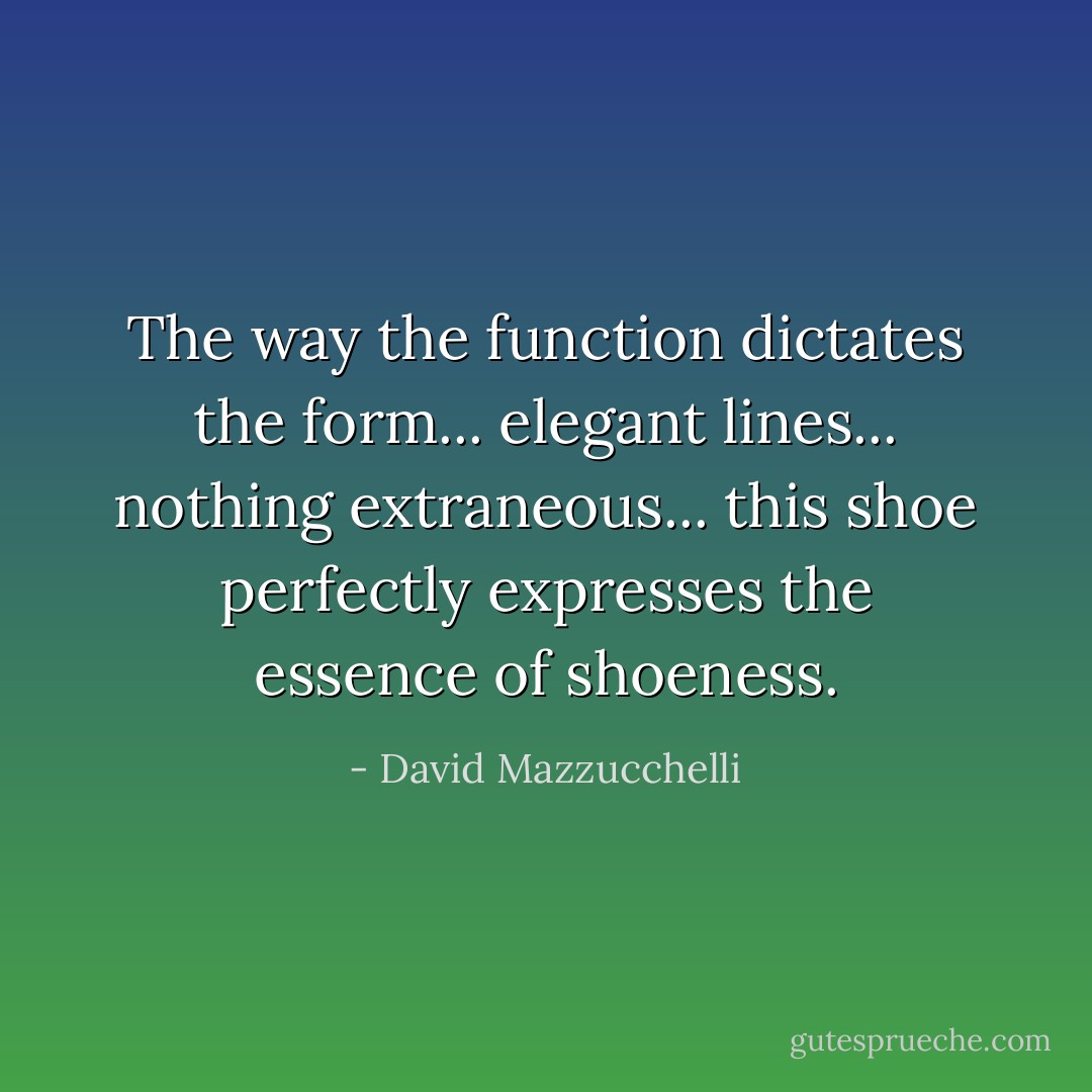 The way the function dictates the form... elegant lines... nothing extraneous... this shoe perfectly expresses the essence of shoeness. - David Mazzucchelli