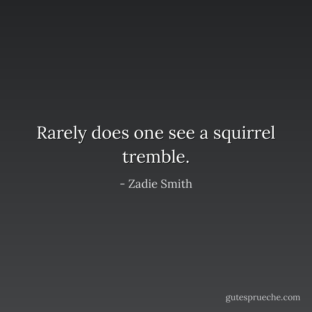 Rarely does one see a squirrel tremble. - Zadie Smith