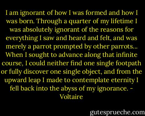 I am ignorant of how I was formed and how I was born. Through a quarter of my lifetime I was absolutely ignorant of the reasons for everything I saw and heard and felt, and was merely a parrot prompted by other parrots... When I sought to advance along that infinite course, I could neither find one single footpath or fully discover one single object, and from the upward leap I made to contemplate eternity I fell back into the abyss of my ignorance. - Voltaire