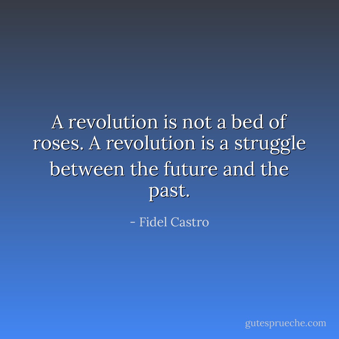 A revolution is not a bed of roses. A revolution is a struggle between the future and the past. - Fidel Castro
