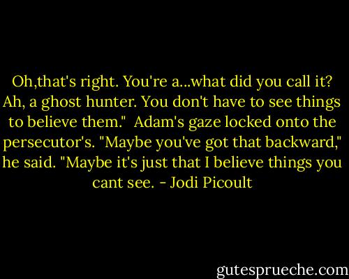 Oh,that's right. You're a...what did you call it? Ah, a ghost hunter. You don't have to see things to believe them."<br /><br />Adam's gaze locked onto the persecutor's. "Maybe you've got that backward," he said. "Maybe it's just that I believe things you cant see. - Jodi Picoult