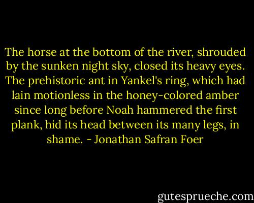 The horse at the bottom of the river, shrouded by the sunken night sky, closed its heavy eyes. The prehistoric ant in Yankel's ring, which had lain motionless in the honey-colored amber since long before Noah hammered the first plank, hid its head between its many legs, in shame. - Jonathan Safran Foer