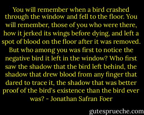 You will remember when a bird crashed through the window and fell to the floor. You will remember, those of you who were there, how it jerked its wings before dying, and left a spot of blood on the floor after it was removed. But who among you was first to notice the negative bird it left in the window? Who first saw the shadow that the bird left behind, the shadow that drew blood from any finger that dared to trace it, the shadow that was better proof of the bird's existence than the bird ever was? - Jonathan Safran Foer