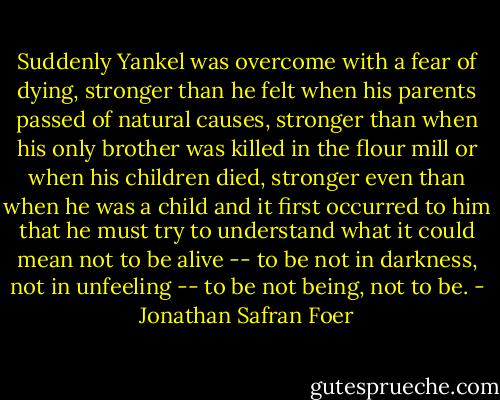 Suddenly Yankel was overcome with a fear of dying, stronger than he felt when his parents passed of natural causes, stronger than when his only brother was killed in the flour mill or when his children died, stronger even than when he was a child and it first occurred to him that he must try to understand what it could mean not to be alive -- to be not in darkness, not in unfeeling -- to be not being, not to be. - Jonathan Safran Foer