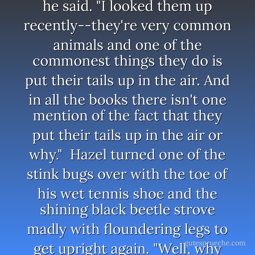On the black earth on which the ice plants bloomed, hundreds of black stink bugs crawled. And many of them stuck their tails up in the air. "Look at all them stink bugs," Hazel remarked, grateful to the bugs for being there.<br /> "They're interesting," said Doc.<br /> "Well, what they got their asses up in the air for?"<br /> Doc rolled up his wool socks and put them in the rubber boots and from his pocket he brought out dry socks and a pair of thin moccasins. "I don't know why," he said. "I looked them up recently--they're very common animals and one of the commonest things they do is put their tails up in the air. And in all the books there isn't one mention of the fact that they put their tails up in the air or why."<br /> Hazel turned one of the stink bugs over with the toe of his wet tennis shoe and the shining black beetle strove madly with floundering legs to get upright again. "Well, why do you think they do it?"<br /> "I think they're praying," said Doc.<br /> "What!" Hazel was shocked.<br /> "The remarkable thing," said Doc, "isn't that they put their tails up in the air--the really incredibly remarkable thing is that we find it remarkable. We can only use ourselves as yardsticks. If we did something as inexplicable and strange we'd probably be praying--so maybe they're praying."<br /> "Let's get the hell out of here," said Hazel. - John Steinbeck