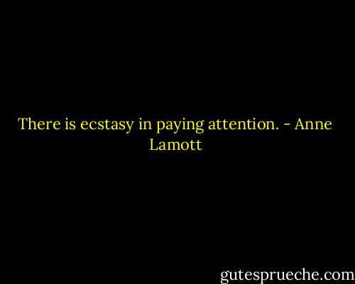 There is ecstasy in paying attention. - Anne Lamott
