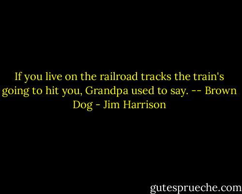 If you live on the railroad tracks the train's going to hit you, Grandpa used to say. -- Brown Dog - Jim Harrison