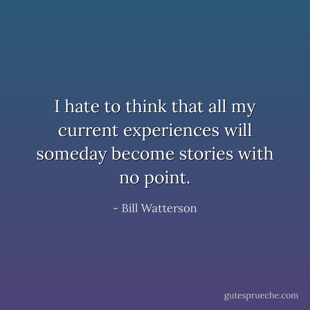 I hate to think that all my current experiences will someday become stories with no point. - Bill Watterson