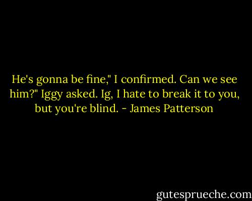 He's gonna be fine," I confirmed.<br />Can we see him?" Iggy asked.<br />Ig, I hate to break it to you, but you're blind. - James Patterson