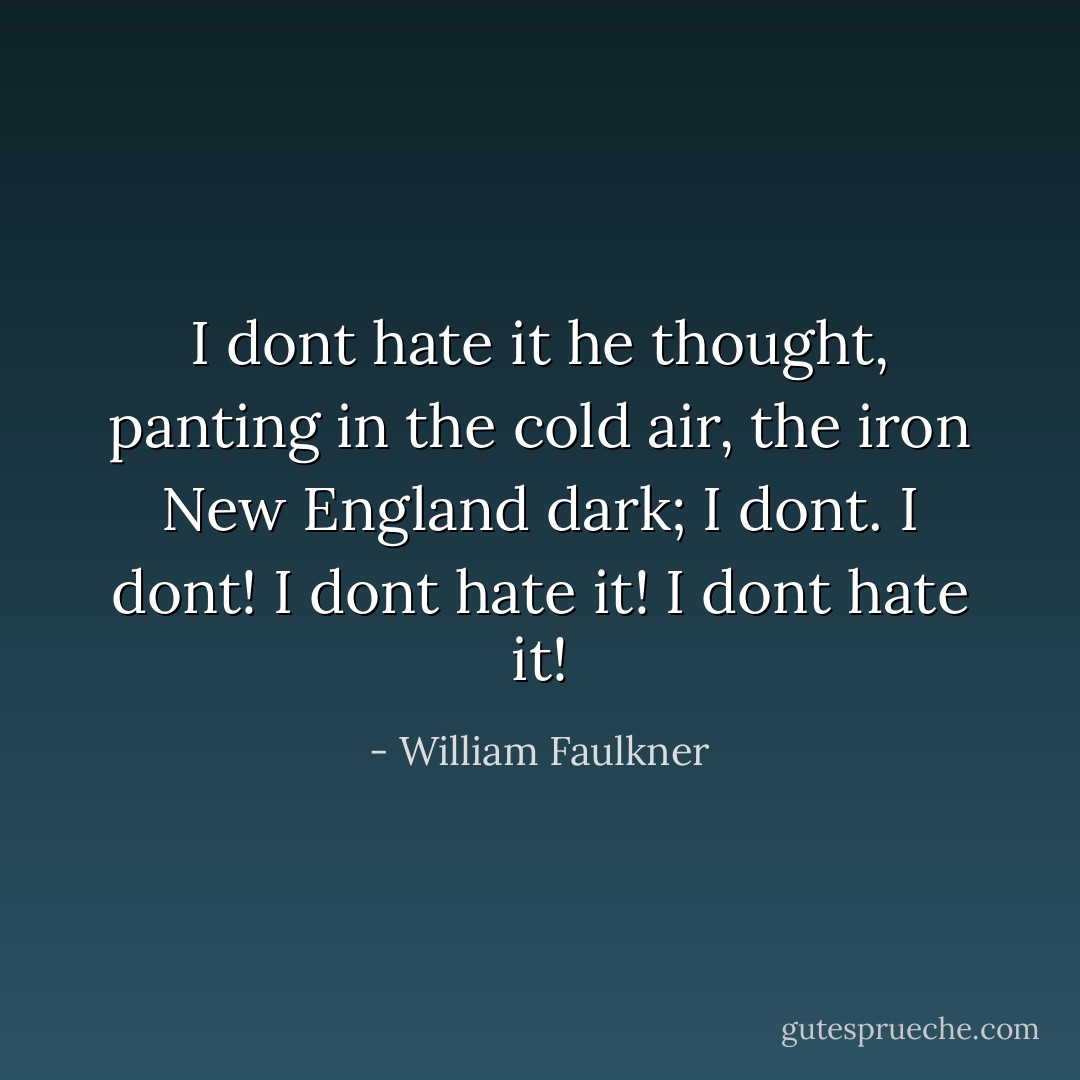 I dont hate it he thought, panting in the cold air, the iron New England dark; I dont. I dont! I dont hate it! I dont hate it! - William Faulkner