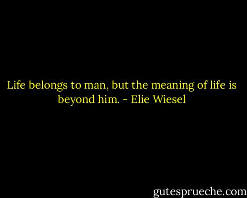 Life belongs to man, but the meaning of life is beyond him. - Elie Wiesel