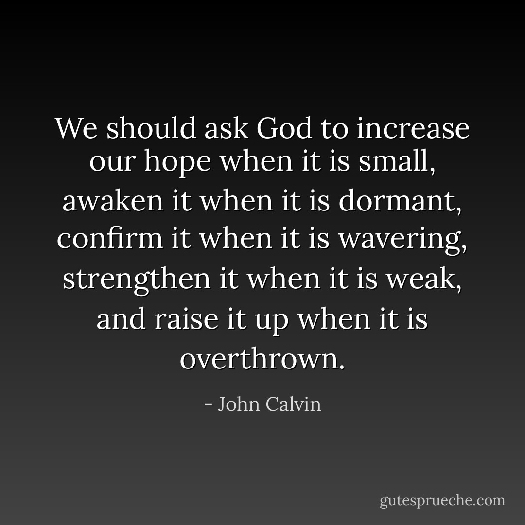 We should ask God to increase our hope when it is small, awaken it when it is dormant, confirm it when it is wavering, strengthen it when it is weak, and raise it up when it is overthrown. - John Calvin