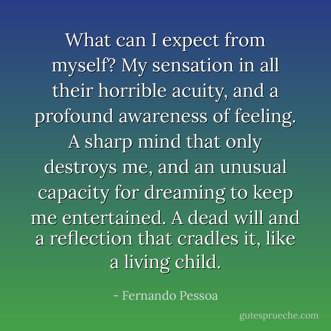 What can I expect from myself? My sensation in all their horrible acuity, and a profound awareness of feeling. A sharp mind that only destroys me, and an unusual capacity for dreaming to keep me entertained. A dead will and a reflection that cradles it, like a living child. - Fernando Pessoa
