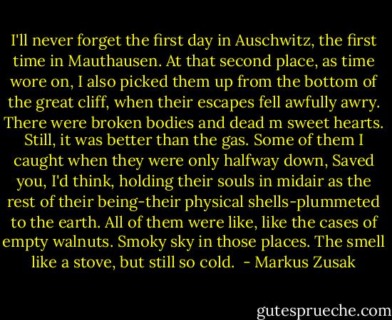 I'll never forget the first day in Auschwitz, the first time in Mauthausen. At that second place, as time wore on, I also picked them up from the bottom of the great cliff, when their escapes fell awfully awry. There were broken bodies and dead m sweet hearts. Still, it was better than the gas. Some of them I caught when they were only halfway down, Saved you, I'd think, holding their souls in midair as the rest of their being-their physical shells-plummeted to the earth. All of them were like, like the cases of empty walnuts. Smoky sky in those places. The smell like a stove, but still so cold.  - Markus Zusak