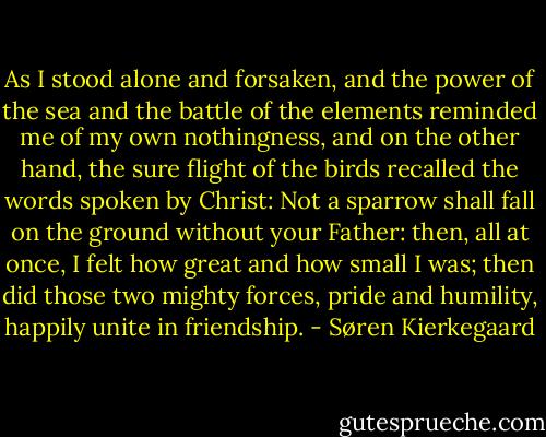 As I stood alone and forsaken, and the power of the sea and the battle of the elements reminded me of my own nothingness, and on the other hand, the sure flight of the birds recalled the words spoken by Christ: Not a sparrow shall fall on the ground without your Father: then, all at once, I felt how great and how small I was; then did those two mighty forces, pride and humility, happily unite in friendship. - Søren Kierkegaard