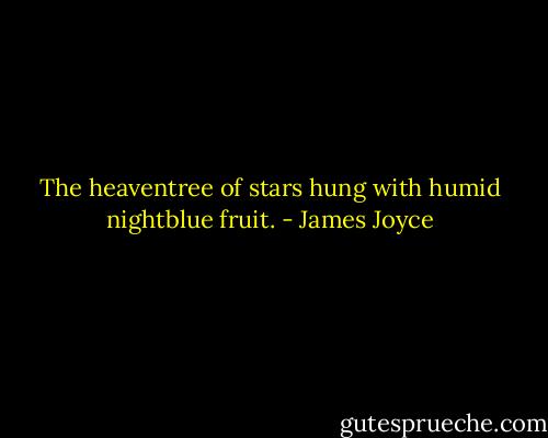 The heaventree of stars hung with humid nightblue fruit. - James Joyce