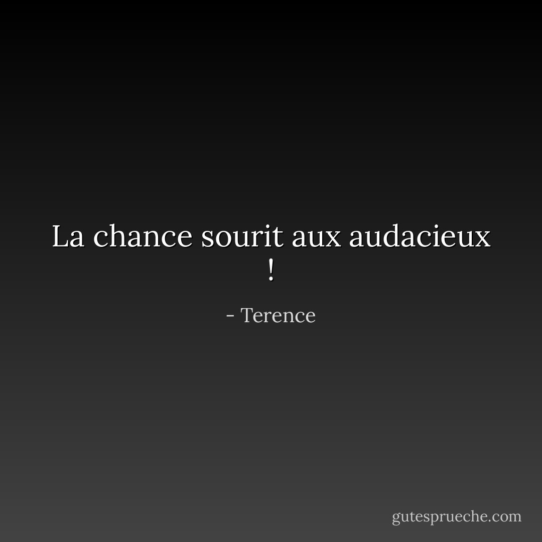 La chance sourit aux audacieux ! - Terence