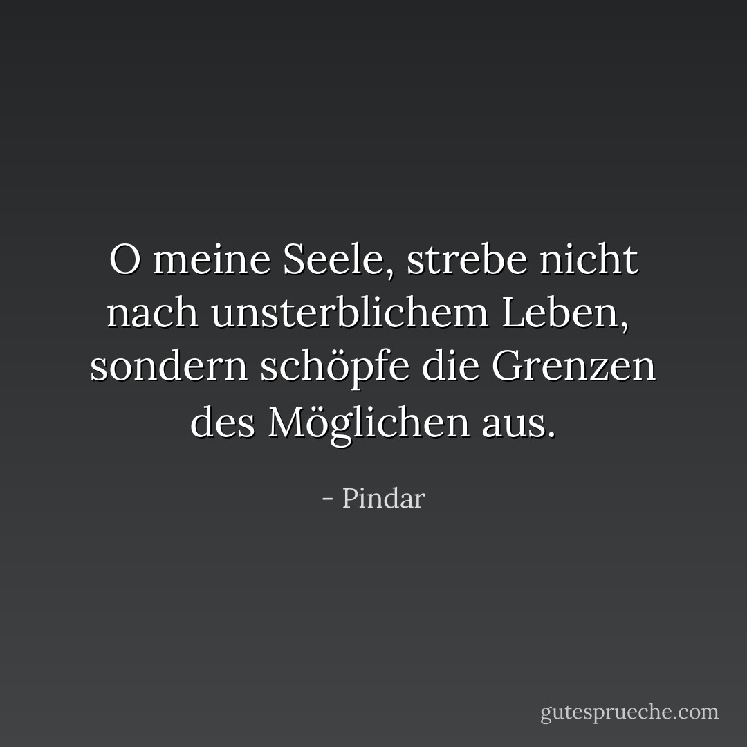 O meine Seele, strebe nicht nach unsterblichem Leben,<br /> sondern schöpfe die Grenzen des Möglichen aus. - Pindar<