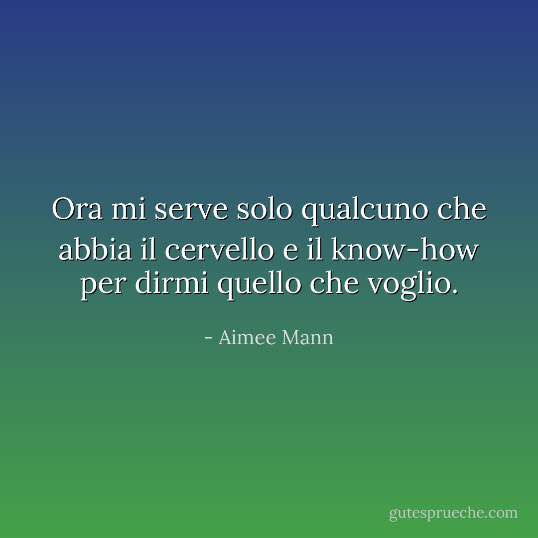 Ora mi serve solo qualcuno che abbia il cervello e il know-how per dirmi quello che voglio. - Aimee Mann