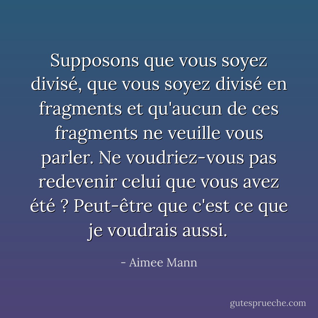 Supposons que vous soyez divisé, que vous soyez divisé en fragments et qu'aucun de ces fragments ne veuille vous parler. Ne voudriez-vous pas redevenir celui que vous avez été ? Peut-être que c'est ce que je voudrais aussi. - Aimee Mann