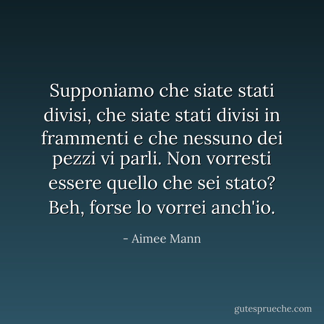 Supponiamo che siate stati divisi, che siate stati divisi in frammenti e che nessuno dei pezzi vi parli. Non vorresti essere quello che sei stato? Beh, forse lo vorrei anch'io. - Aimee Mann