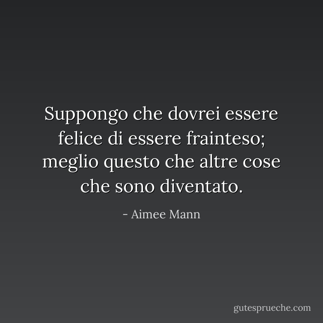 Suppongo che dovrei essere felice di essere frainteso; meglio questo che altre cose che sono diventato. - Aimee Mann