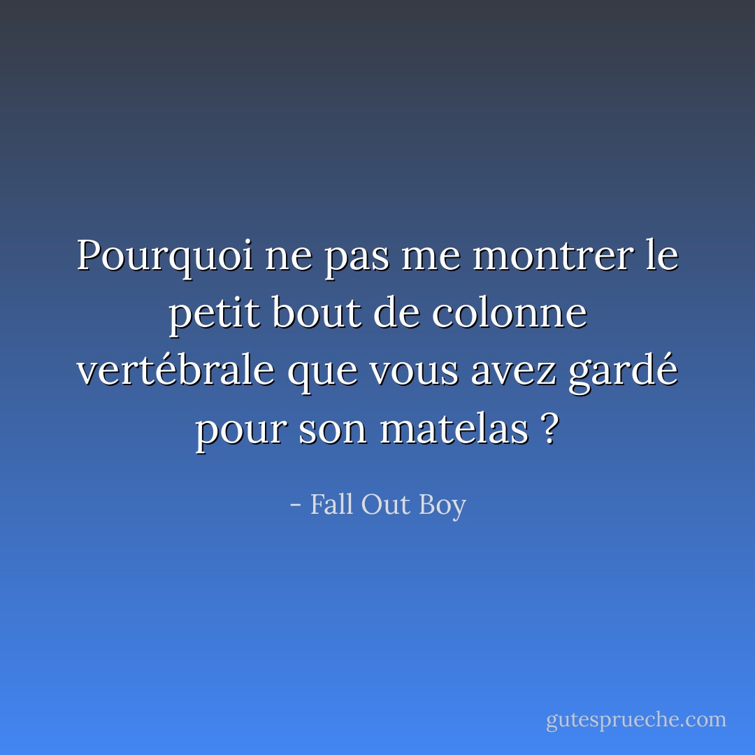 Pourquoi ne pas me montrer le petit bout de colonne vertébrale que vous avez gardé pour son matelas ? - Fall Out Boy