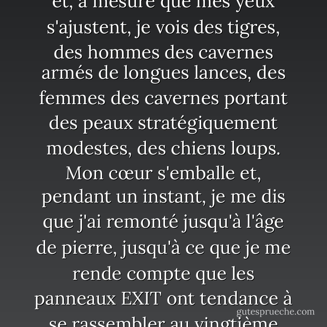 Je lève la tête et aperçois un panneau EXIT rouge illuminé et, à mesure que mes yeux s'ajustent, je vois des tigres, des hommes des cavernes armés de longues lances, des femmes des cavernes portant des peaux stratégiquement modestes, des chiens loups. Mon cœur s'emballe et, pendant un instant, je me dis que j'ai remonté jusqu'à l'âge de pierre, jusqu'à ce que je me rende compte que les panneaux EXIT ont tendance à se rassembler au vingtième siècle. - Audrey Niffenegger