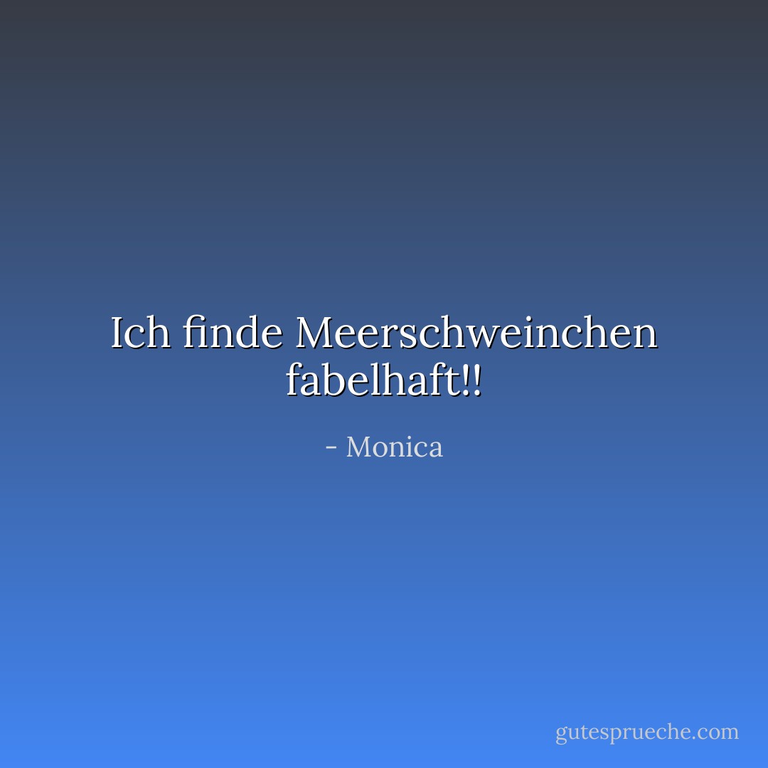 Ich finde Meerschweinchen fabelhaft!! - Monica<