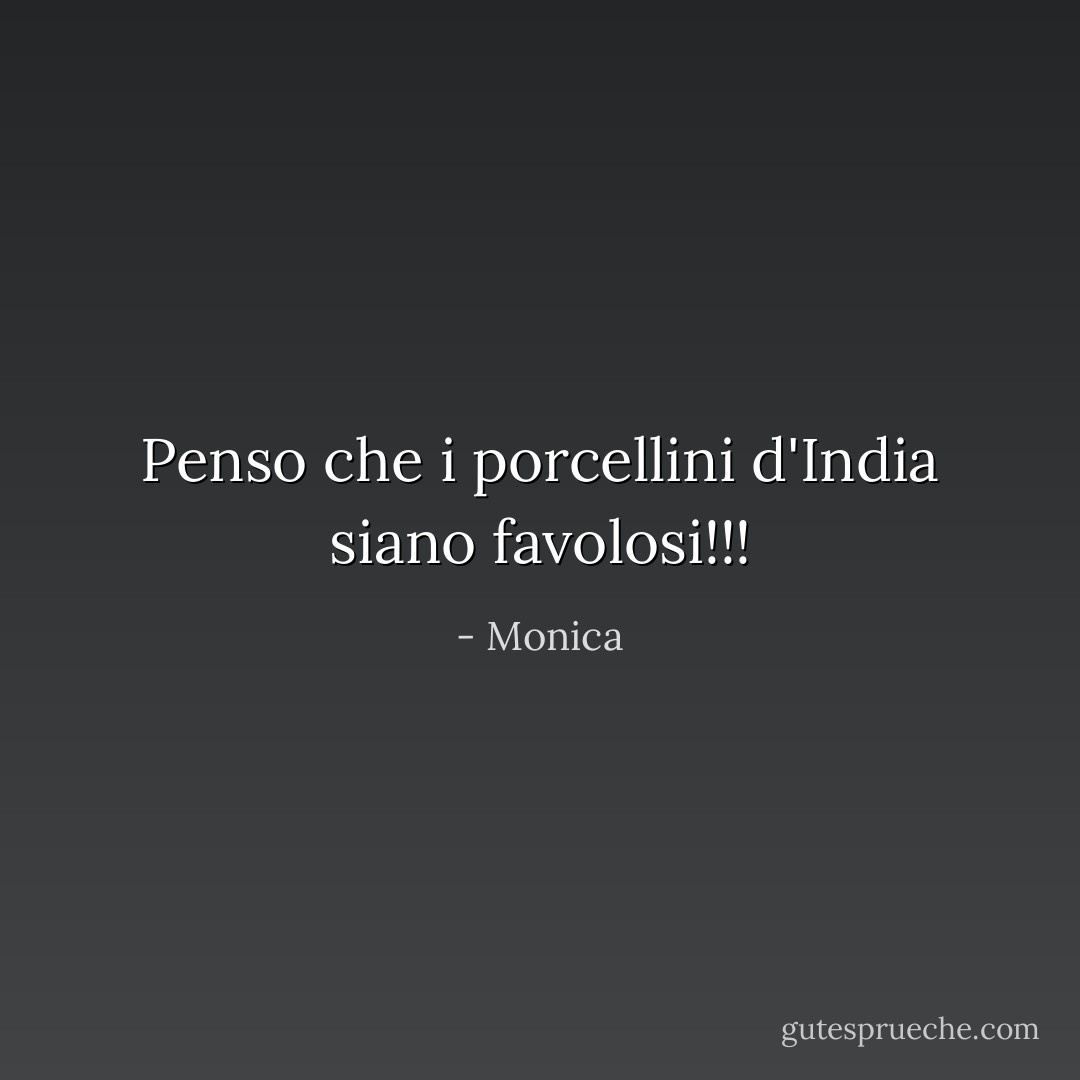 Penso che i porcellini d'India siano favolosi!!! - Monica