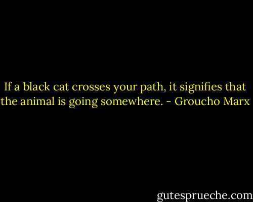 If a black cat crosses your path, it signifies that the animal is going somewhere. - Groucho Marx