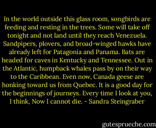 In the world outside this glass room, songbirds are feeding and resting in the trees. Some will take off tonight and not land until they reach Venezuela. Sandpipers, plovers, and broad-winged hawks have already left for Patagonia and Panama. Bats are headed for caves in Kentucky and Tennessee. Out in the Atlantic, humpback whales pass by on their way to the Caribbean. Even now, Canada geese are honking toward us from Quebec. It is a good day for the beginnings of journeys.<br />Every time I look at you, I think, Now I cannot die. - Sandra Steingraber