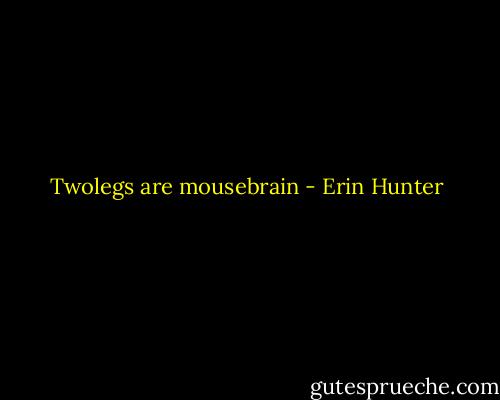 Twolegs are mousebrain - Erin Hunter