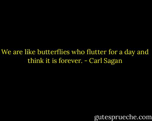 We are like butterflies who flutter for a day and think it is forever. - Carl Sagan