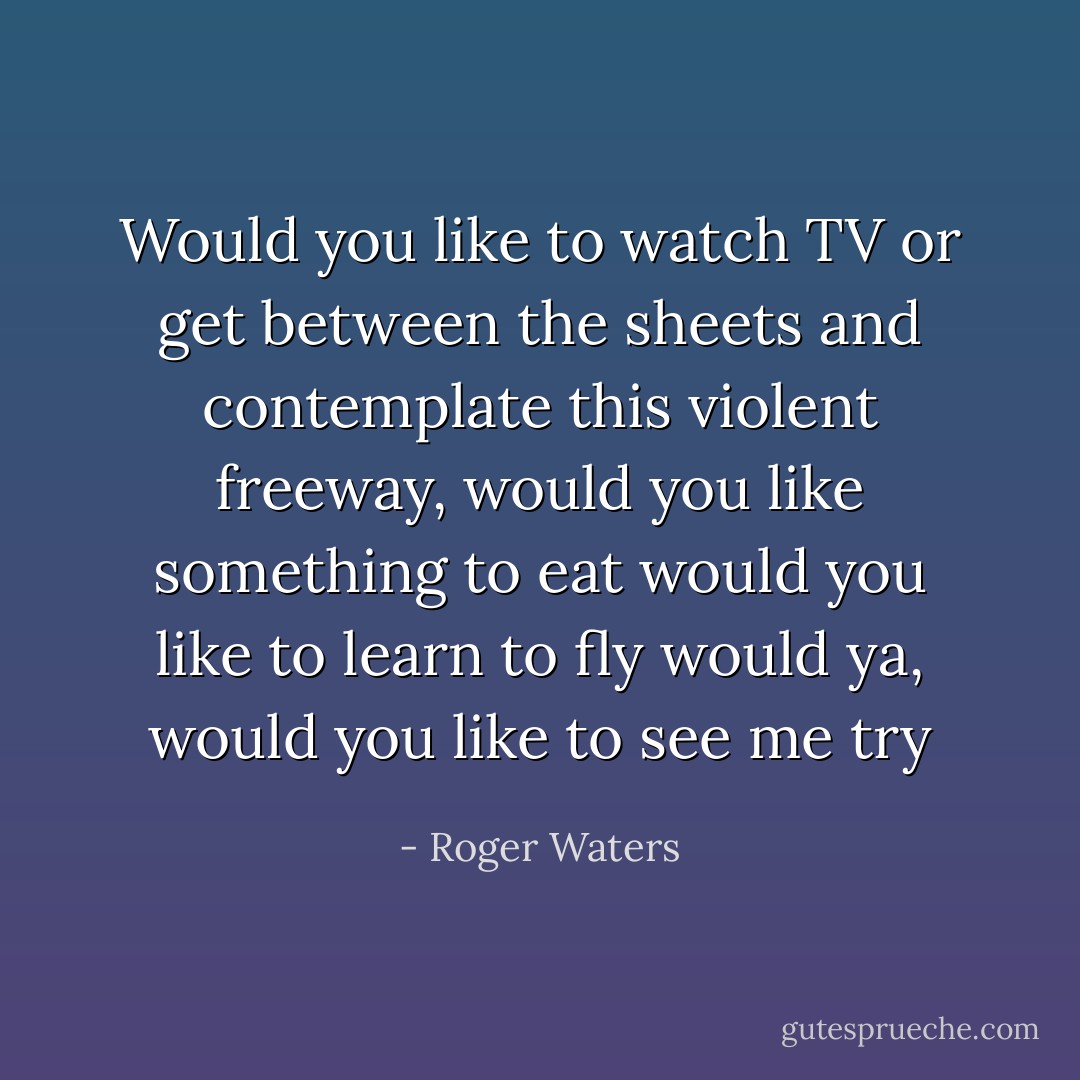 Would you like to watch TV<br />or get between the sheets<br />and contemplate this violent freeway,<br />would you like something to eat<br />would you like to learn to fly<br />would ya, would you like to see me try - Roger Waters