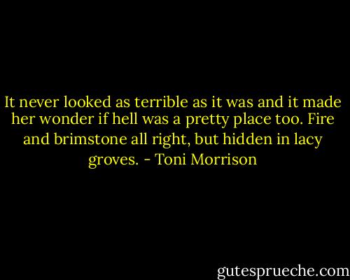 It never looked as terrible as it was and it made her wonder if hell was a pretty place too. Fire and brimstone all right, but hidden in lacy groves. - Toni Morrison