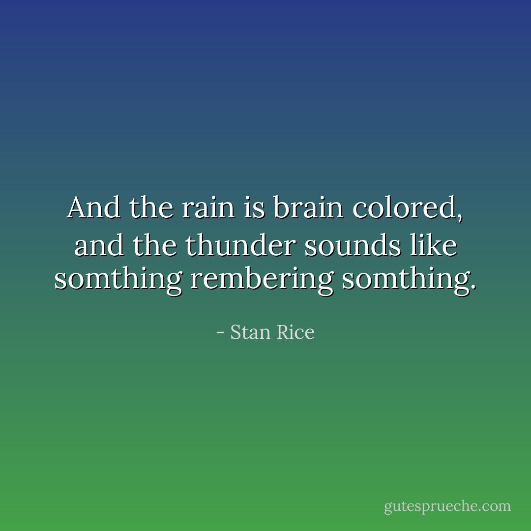 And the rain is brain colored, and the thunder sounds like somthing rembering somthing. - Stan Rice